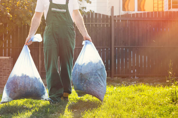 Basement Cleanout Services in Scandia, MN